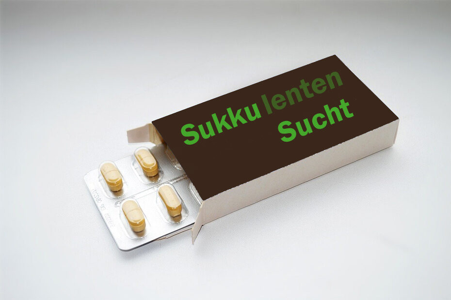 Eine Schachtel Tabletten auf der "Sukkulenten Sucht" aufgedruckt ist - soll scherzhaft die Leidenschaft für Sukkulenten symbolisieren.