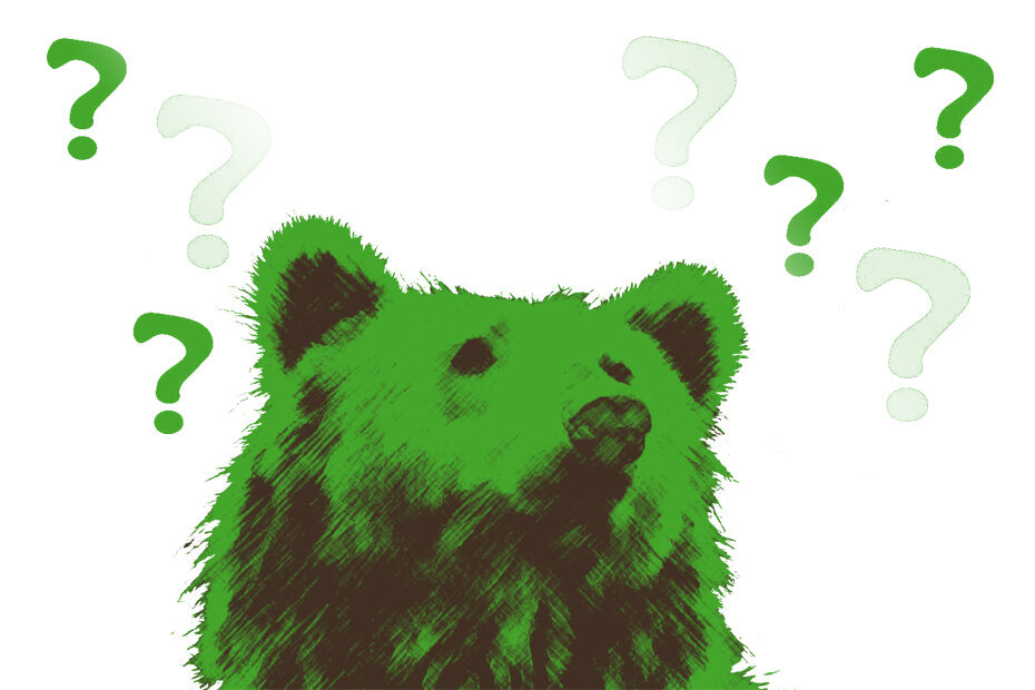 Abstraktes Bild eines Bären, um dessen Kopf Fragezeichen schwirren. Symbolisiert das Unwissen.