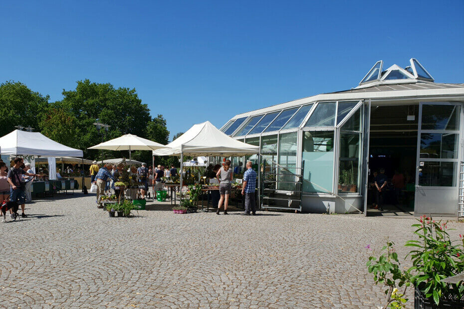 Blick auf den Sukkulentenmarkt im Grugapark Essen.