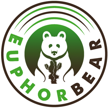 Das Logo von Euphorbear zeigt einen Bären, der vor einer stacheligen Pflanze (Euphorbia) sitzt. Darunter steht der Schriftzug "Euphorbear".