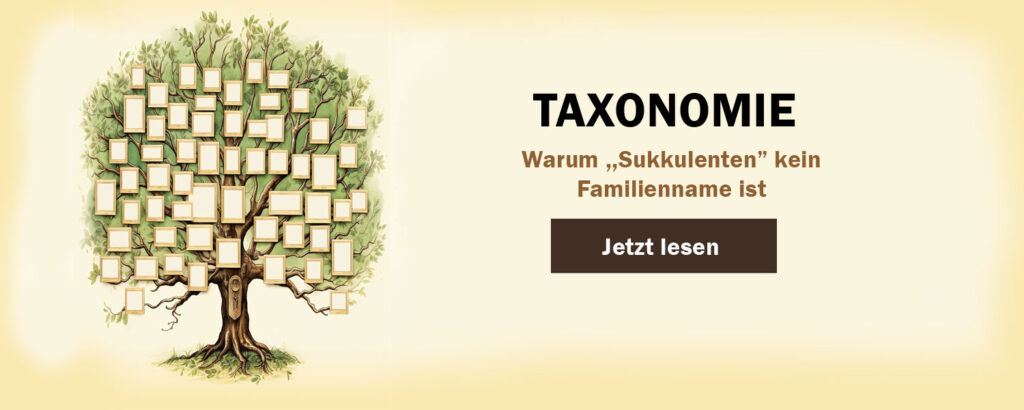 Neuer Ratgeber - Taxonomie: Warum Sukkulenten kein Familienname ist. Das Bild zeigt einen Stammbaum, der sinnbildlich für den Begriff Taxonomie steht.